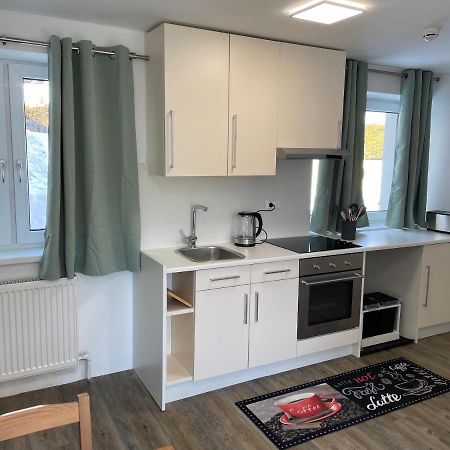 Mountain View Apartment Ramsau am Dachstein Εξωτερικό φωτογραφία