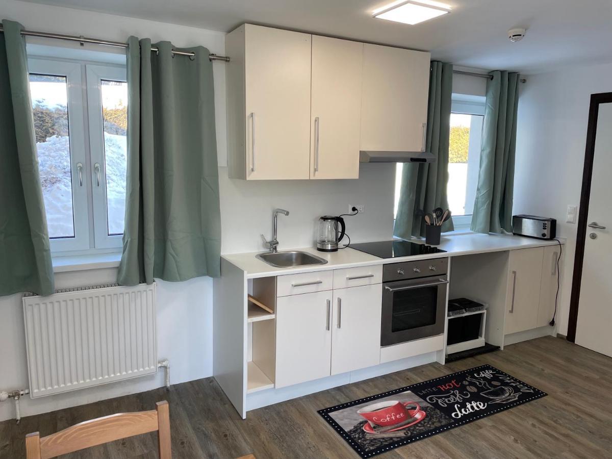Mountain View Apartment Ramsau am Dachstein Εξωτερικό φωτογραφία